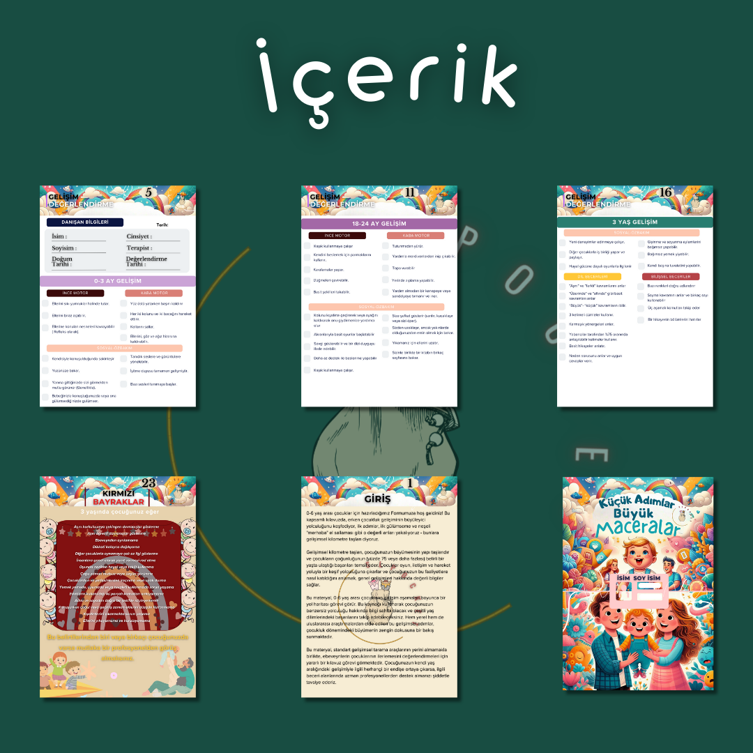 Gelişim Tarama Formu